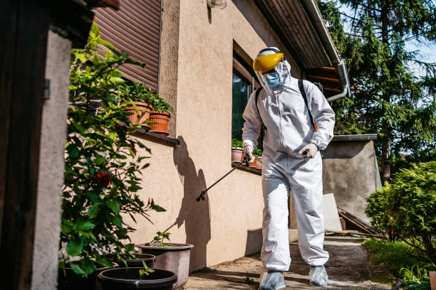 Best Affordable Pest Control Services  in Dash Point, WA