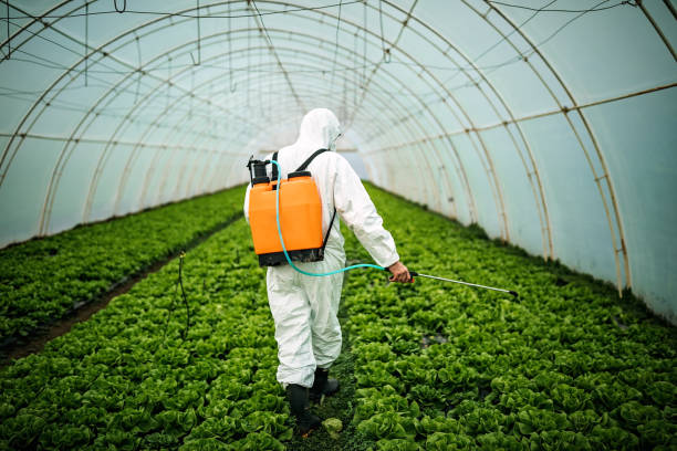 Best Emergency Pest Control  in Dash Point, WA