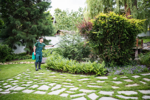  Dash Point, WA Pest Control Pros