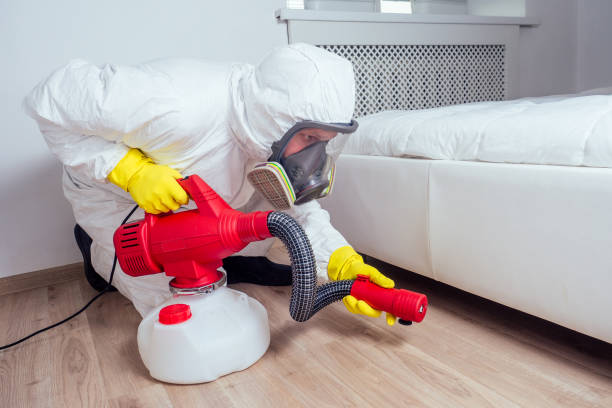 Best Mosquito Control Services  in Dash Point, WA