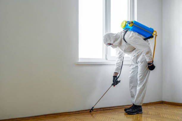 Best Wasp Removal Services  in Dash Point, WA
