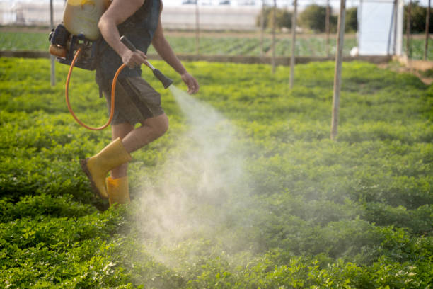 Best Best Pest Control Companies  in Dash Point, WA