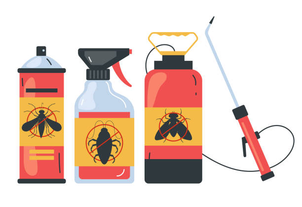 Pest Prevention Services in Dash Point, WA