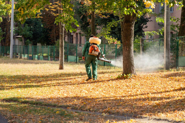 Trusted Dash Point, WA Pest Control Experts