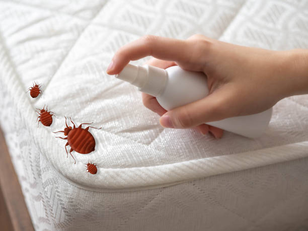 Best Pest Inspection Near Me  in Dash Point, WA