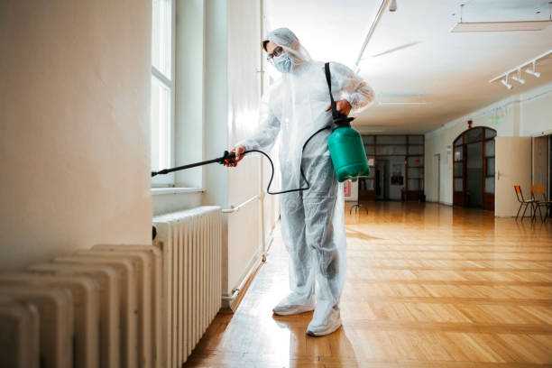 Best Affordable Pest Control Services  in Dash Point, WA