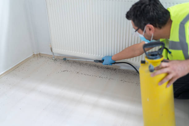 Best Best Pest Control Companies  in Dash Point, WA