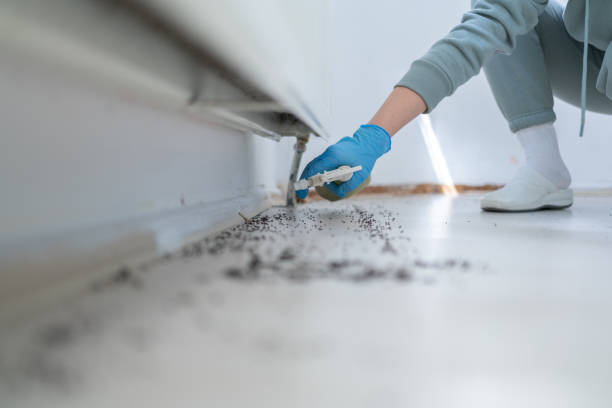 Best Pest Prevention Services  in Dash Point, WA